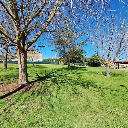 Llosa Grande - Vv5609as Villaviciosa (Asturias)